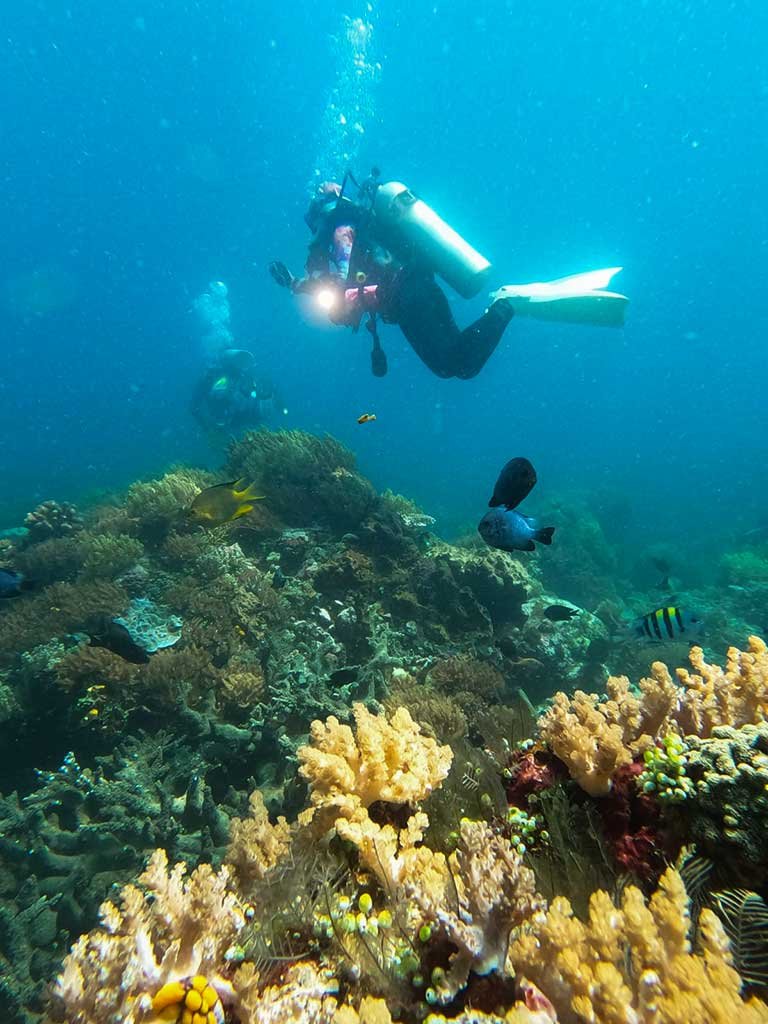 Fun Diving in Bunaken Marine Park Fun Diving in Bunaken Marine Park